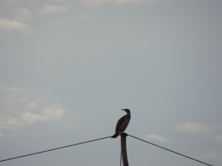 20120919 163908